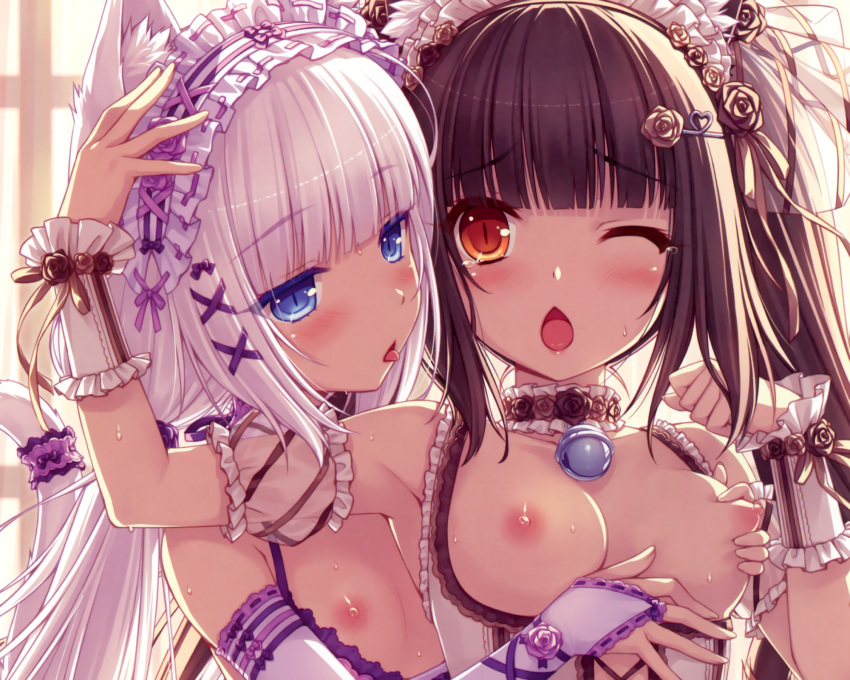 Хентай nekopara, rule34