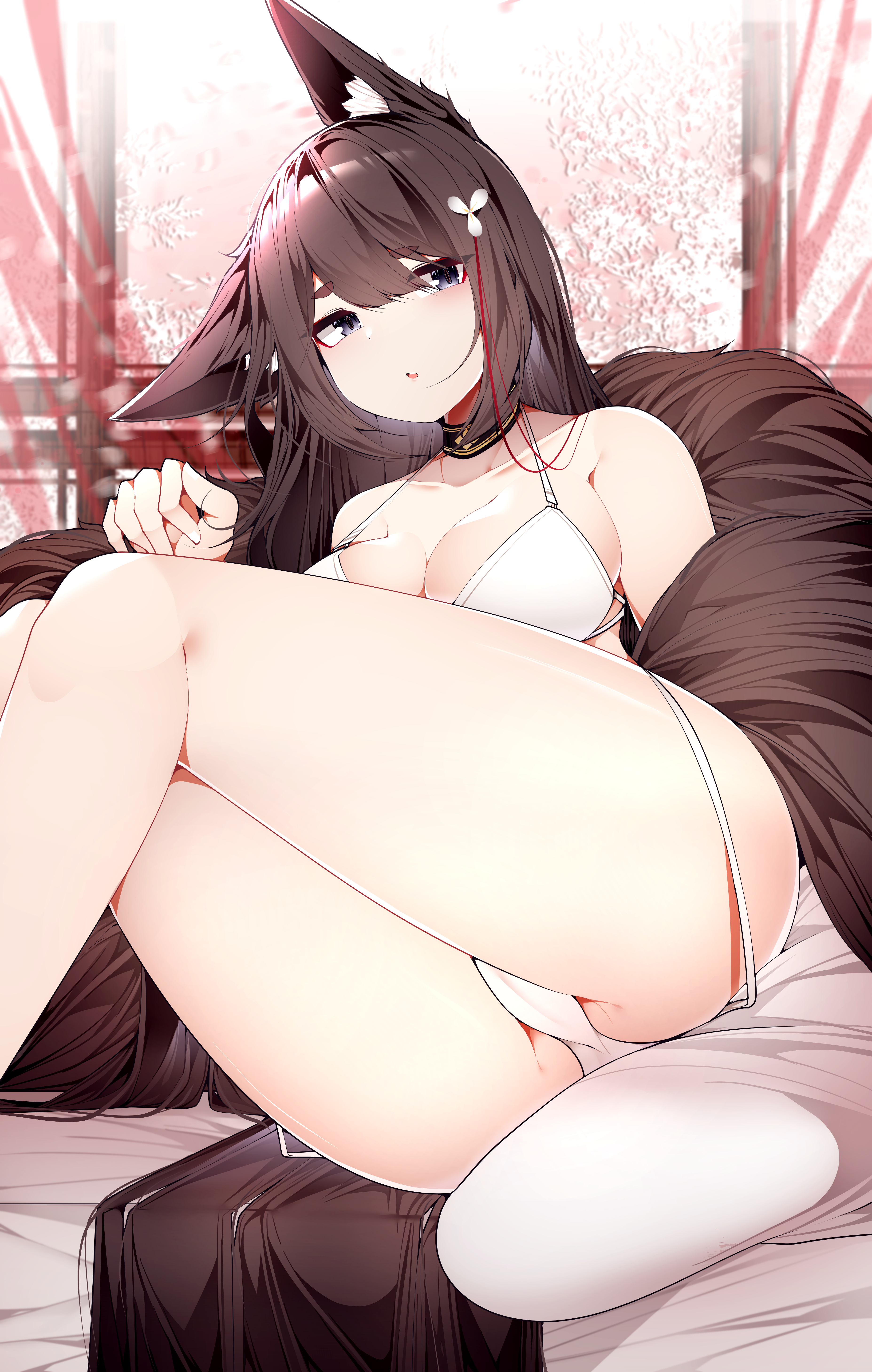 Хентай нижнее бельё,кошкодевочки,azur lane,кровать, rule34