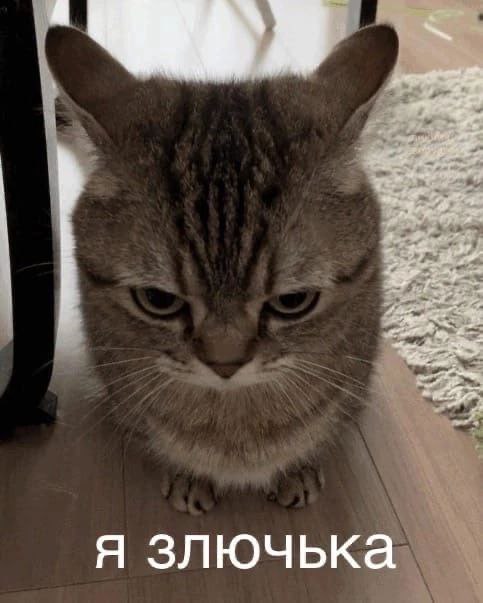 Хентай Аниме,хентай,звуки,неко,2d,wolf,ganyu,3d,без_трусиков,адский босс,акулы,безобидное,ребекка,озвучка,без пизды,заяц,реальная жизнь,зверопой,demon,боржоми,александр пистолетов,зверотрап,автомобили,реал_лайф,а4,время_приключений,обложка,кот_с_винтовкой,69,негр,аи,айрис,аква,соник,live_stream,акари_pokemon,амонгус,оборотень,2022, rule34