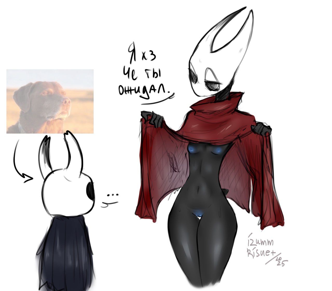 Хентай 1boy,1girl,2d,hollow knight, rule34