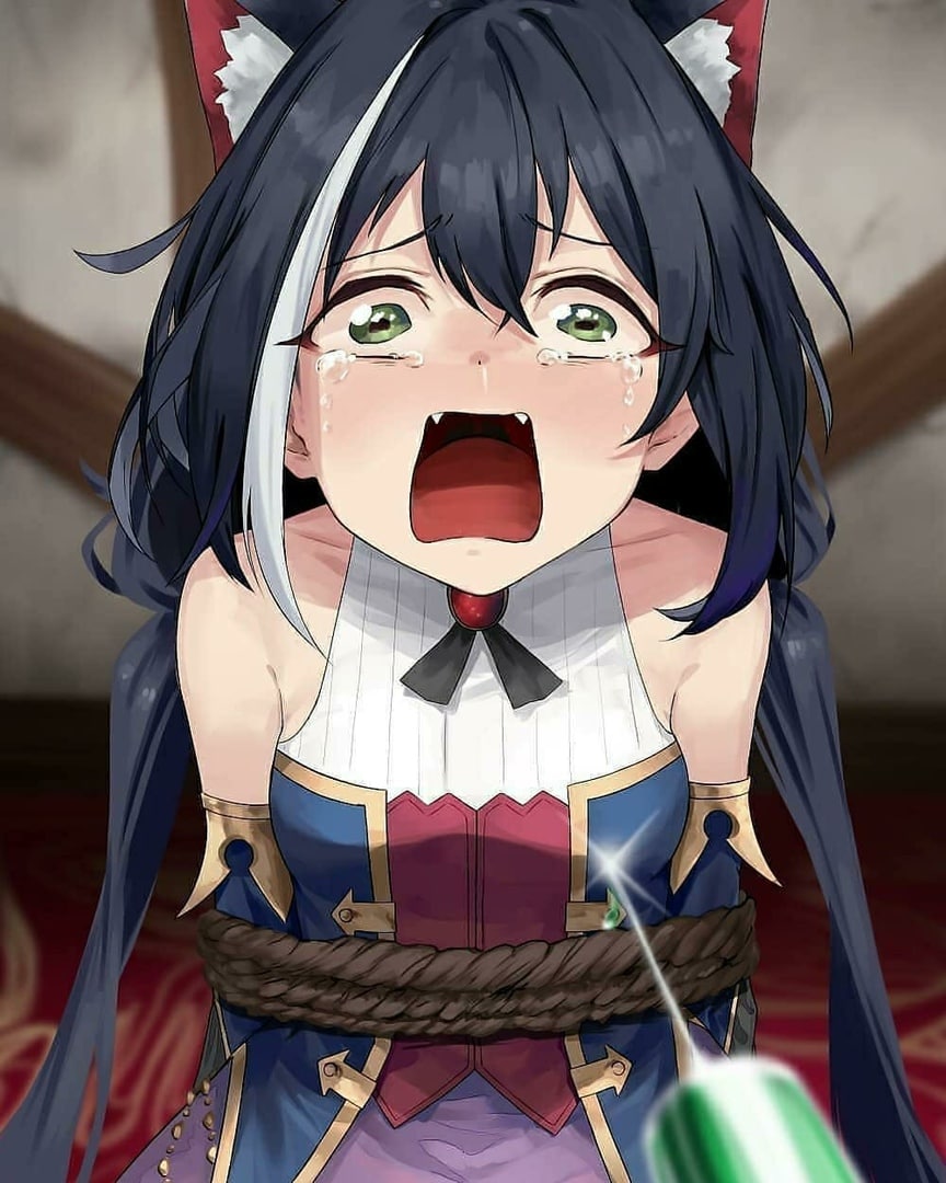 Хентай Аниме,Члены,неко,в одежде,кошкодевочки, rule34