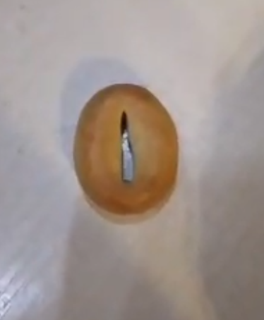 Хентай Аниме, rule34